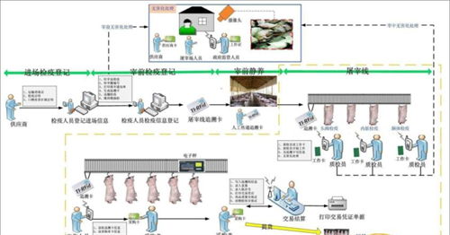 海南屠宰场称重管理软件厂家